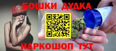 индика Пенза