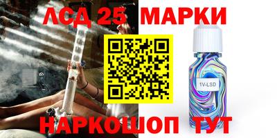индика Пенза