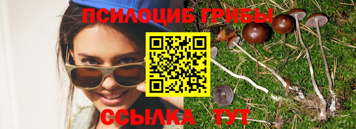 Псилоцибиновые грибы GOLDEN TEACHER Новодвинск