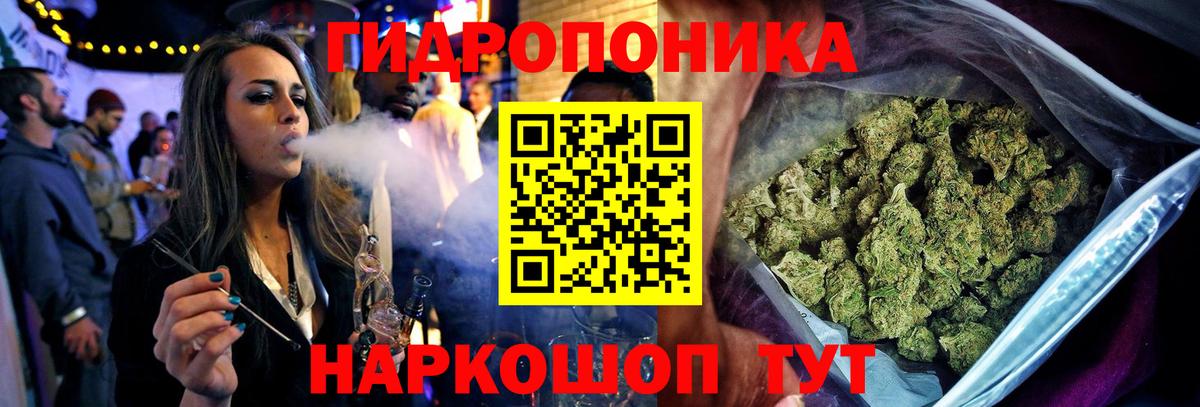 Канабис AK-47 Новодвинск